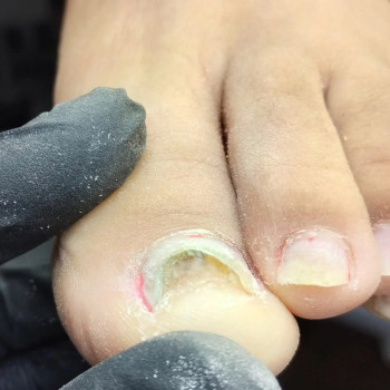 Фото с портфолио Ольга Живець