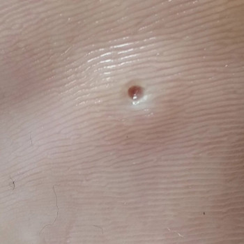 Фото с портфолио Ольга Живець