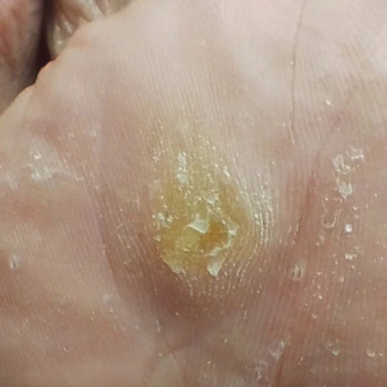 Фото с портфолио Ольга Живець