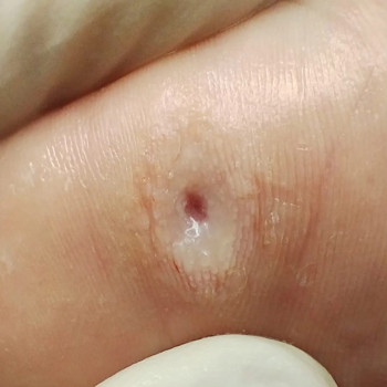 Фото с портфолио Ольга Живець