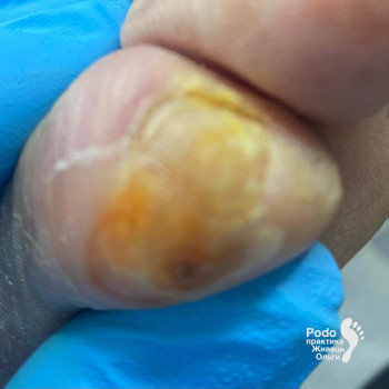 Фото с портфолио Ольга Живець