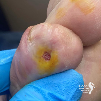 Фото с портфолио Ольга Живець