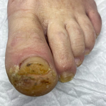 Фото с портфолио Ольга Живець