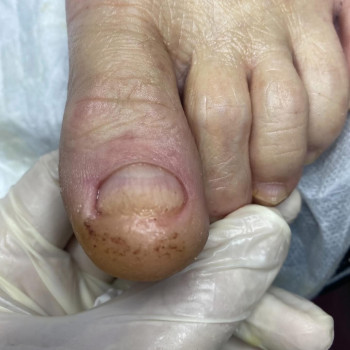 Фото с портфолио Ольга Живець