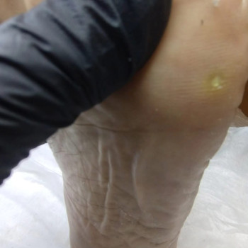 Фото с портфолио Ольга Живець