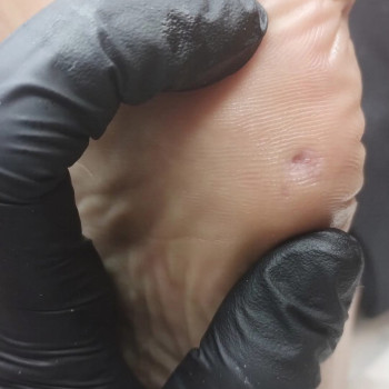 Фото с портфолио Ольга Живець