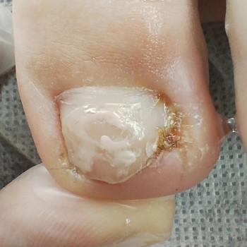 Фото с портфолио Ольга Живець