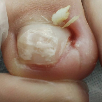 Фото с портфолио Ольга Живець