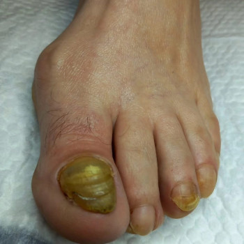 Фото с портфолио Ольга Живець