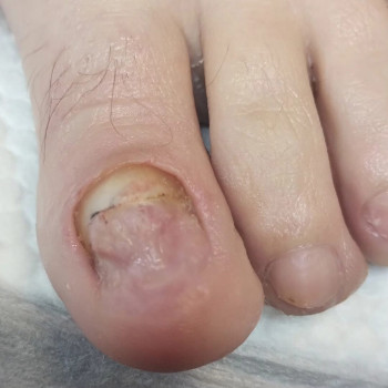 Фото с портфолио Ольга Живець