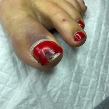 Фото с портфолио Ольга Живець