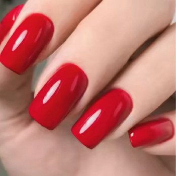 Фото с портфолио Лариса Турова