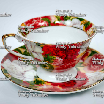 Фото с портфолио Виталий Якушев