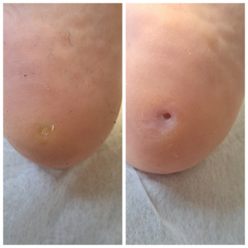 Фото с портфолио Оксана Коваленко