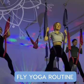 Фото с портфолио Tilo Club