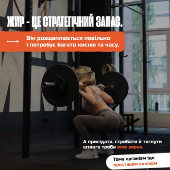 Фото с портфолио ЖимЖим