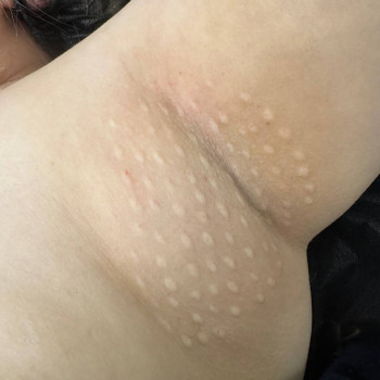 Фото с портфолио Светлана Гондарь