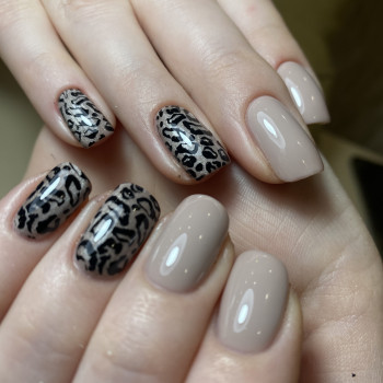 Фото с портфолио Еліна Ківа