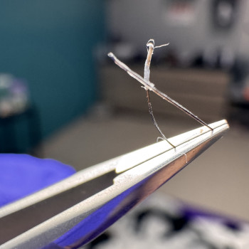 Так виглядає Анаген-електро