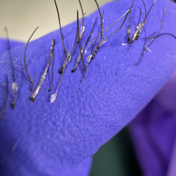 Процес електро