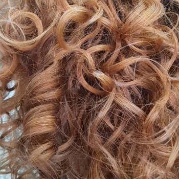 Фото с портфолио Лариса Чернишева