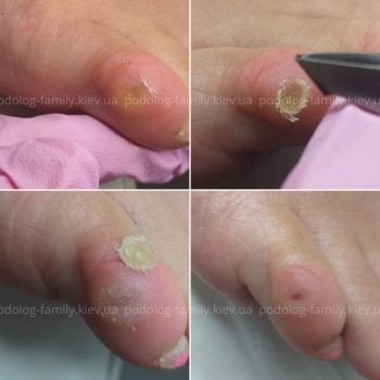 Фото с портфолио Катерина Олександрівна Олійник