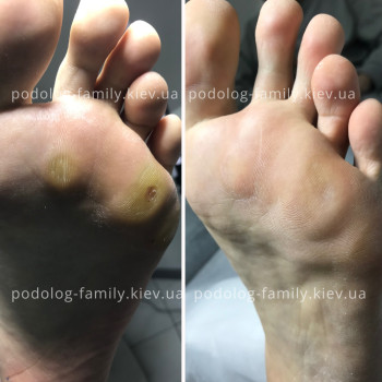 Фото с портфолио Катерина Олександрівна Олійник