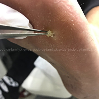 Фото с портфолио Катерина Олександрівна Олійник