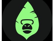 Фітнес клуби JungleGym на Barb.ua