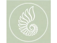 Фітнес клуби KyivYoga на Barb.ua