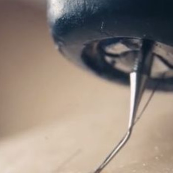 Фото с портфолио Павленко Татьяна