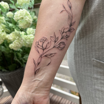 Фото с портфолио Ольга Чикалова