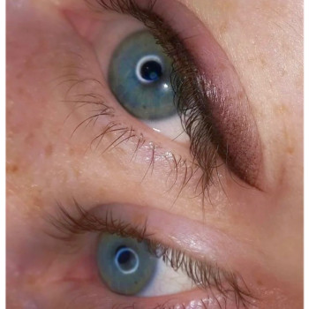 Стрілки з напиленням