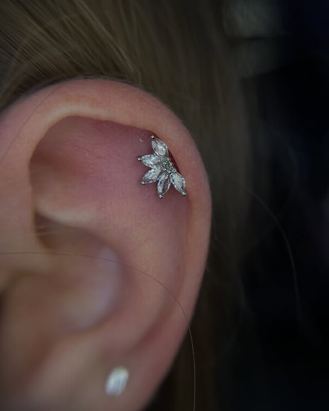 Пірсинг вуха хелікс, фото - Тату салон TATTOO LAMARCH