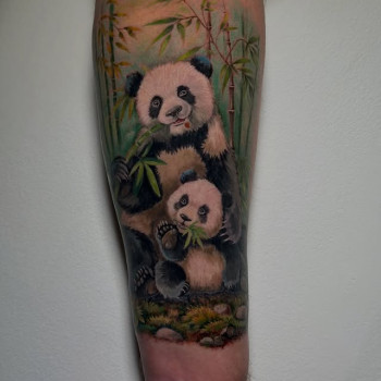 Фото с портфолио TATTOO LAMARCH