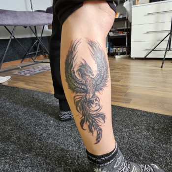 Зажившая птица феникс,тату