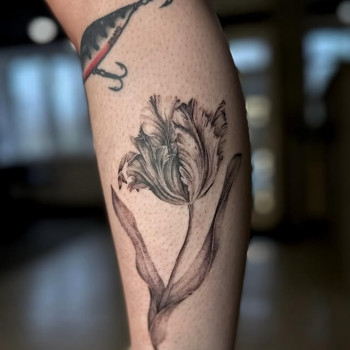 Фото с портфолио TATTOO LAMARCH