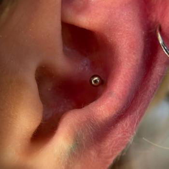 Фото с портфолио TATTOO LAMARCH