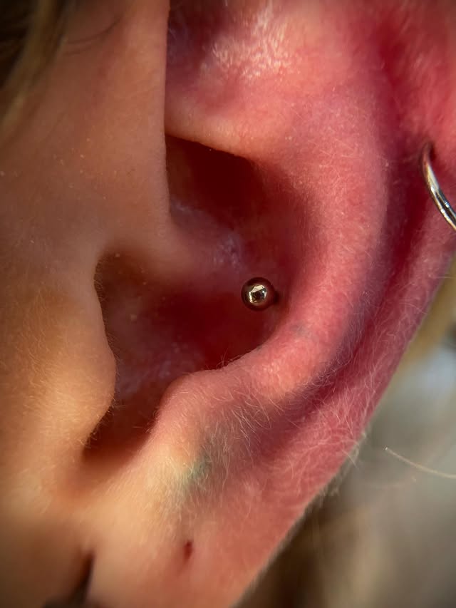Пірсинг вуха хелікс, фото - Тату салон TATTOO LAMARCH