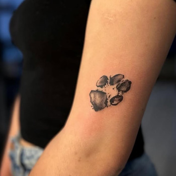 Фото с портфолио TATTOO LAMARCH