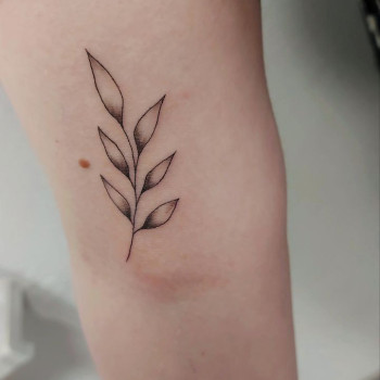 Фото с портфолио Катерина Андрєєва