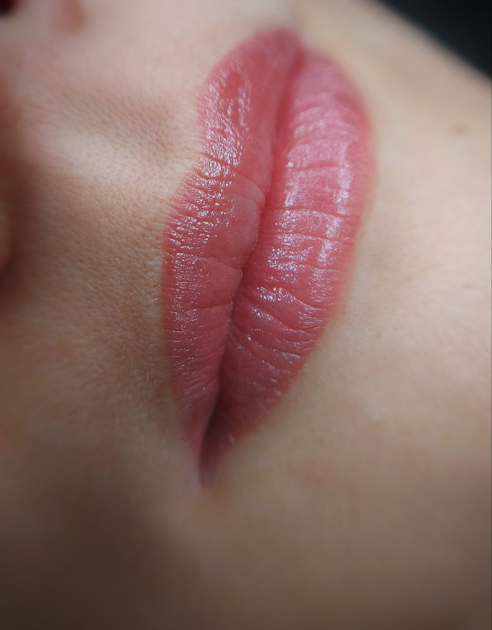 Акварельний татуаж губ нюдовий, фото - Майстер татуажу Катерина Андрєєва