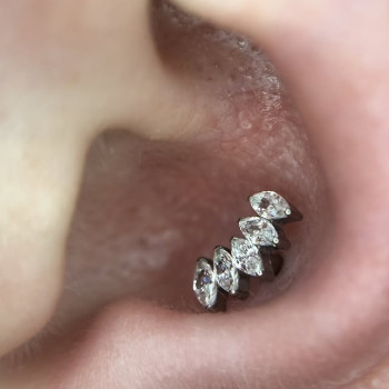 Фото с портфолио TATTOO LAMARCH