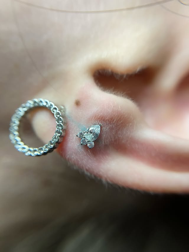 Пірсинг вуха мочки трагус, фото - Тату салон TATTOO LAMARCH