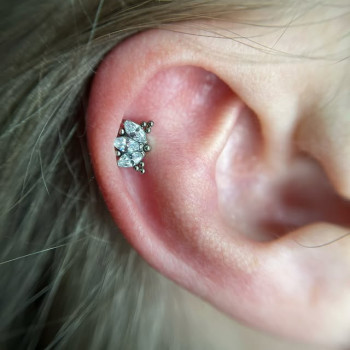 Фото с портфолио TATTOO LAMARCH