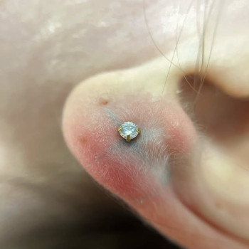 Фото с портфолио TATTOO LAMARCH