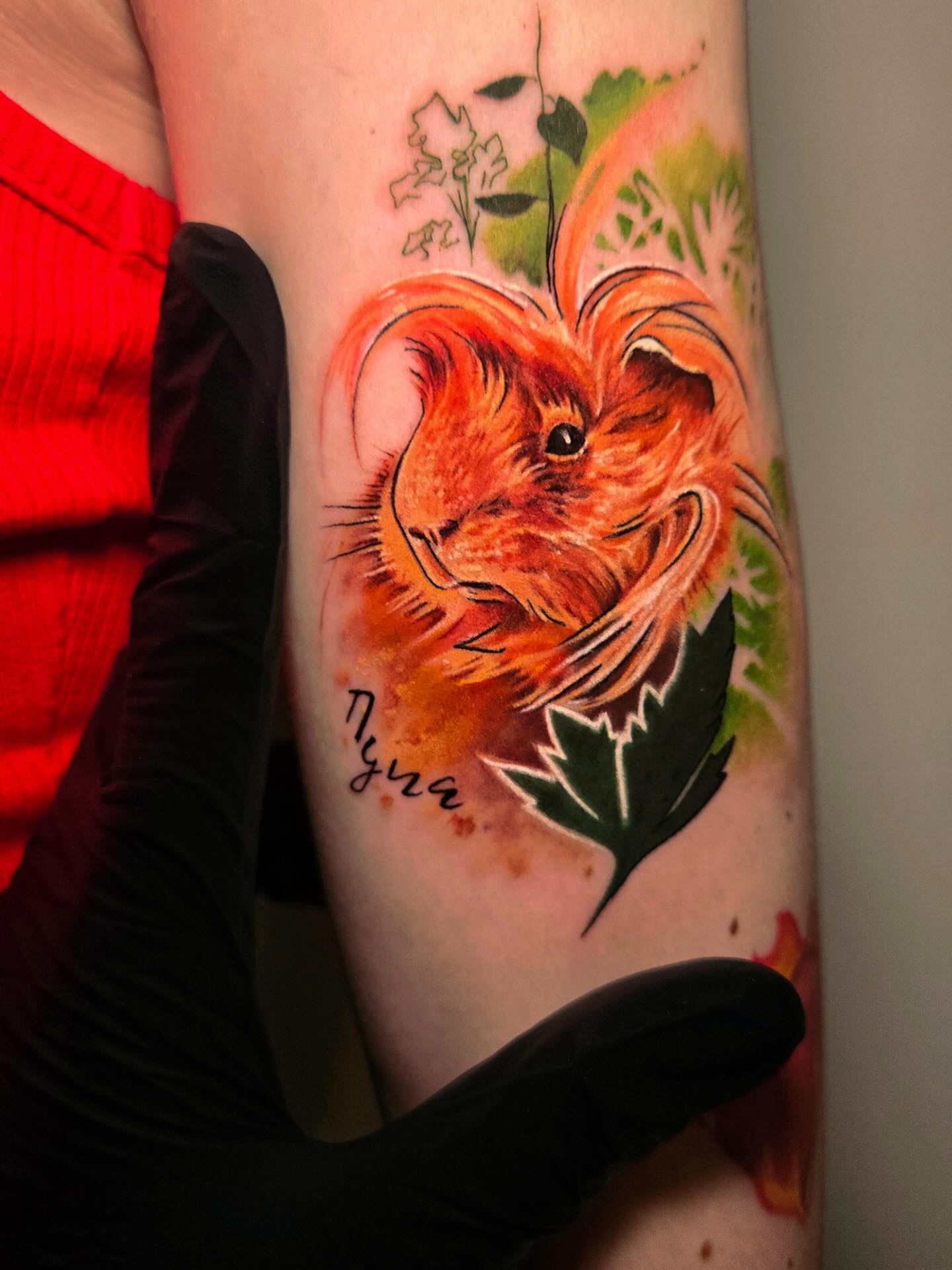 На предплечье цветные реализм, фото - Тату салон TATTOO LAMARCH