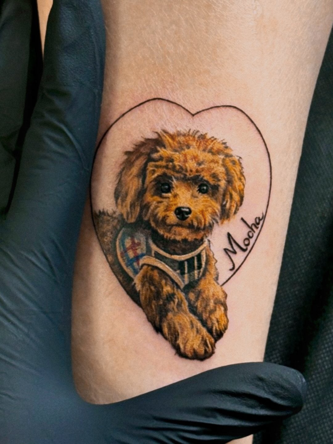 На предплечье цветные реализм, фото - Тату салон TATTOO LAMARCH