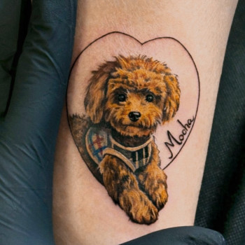 Фото с портфолио TATTOO LAMARCH