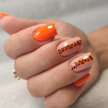 Фото с портфолио Эвелина Соколова